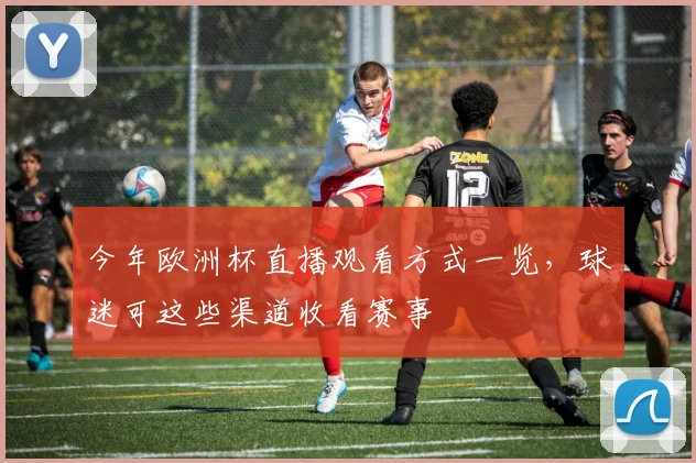 今年欧洲杯直播观看方式一览，球迷可这些渠道收看赛事