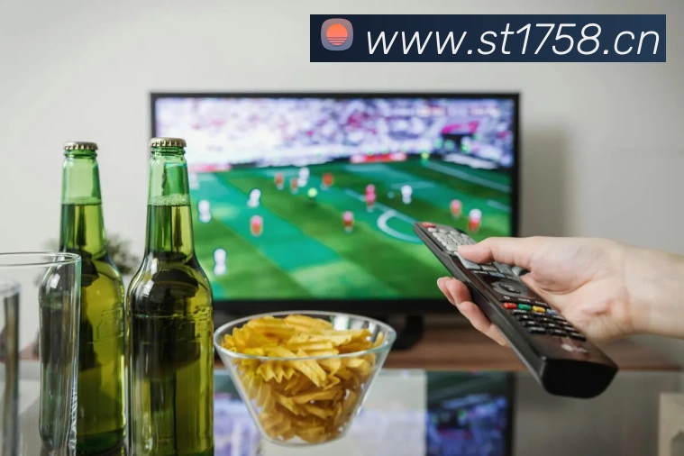 fifa2026世界杯官网首页服务体系